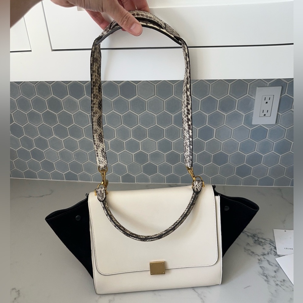 Vintage Celine Python-Trimmed Trapeze Bag - image 3